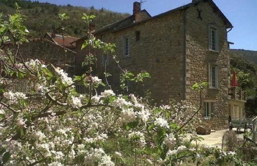 Les Gites de la Petite Boynarde - Photo 10