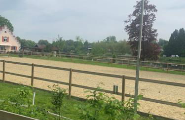 MemmingenBuxheimKartause - Foto 19