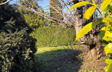 Casa Lupo - Appartamento completo - Photo 26