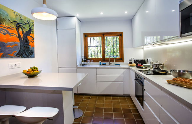 Mirlo Canta - Foto 11