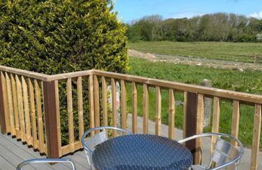 Lodges at Bryncarnedd, Aberystwyth - Photo 15