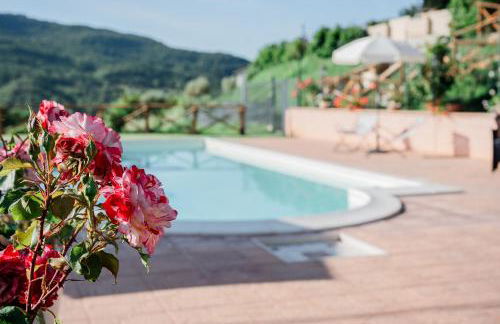 La casa di Sofia - Foto 3