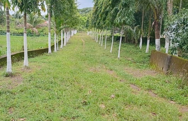 Aminvilla Resort - Foto 11