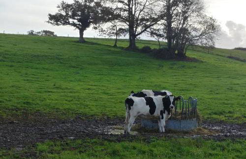 Maison de vacances 3 chambres à 400 m de la plage Kairon - Saint Pair sur mer - Foto 28