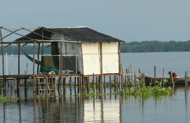 Excursion à Ciénaga - Foto 1