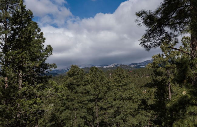 Aurora Montealis - Foto 17