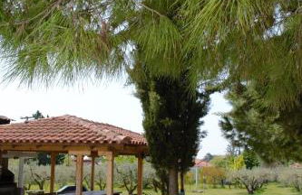 Olive mare Holidays - Foto 43