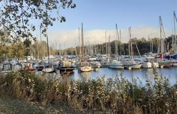 Ferienwohnung Fokuhl - Foto 18