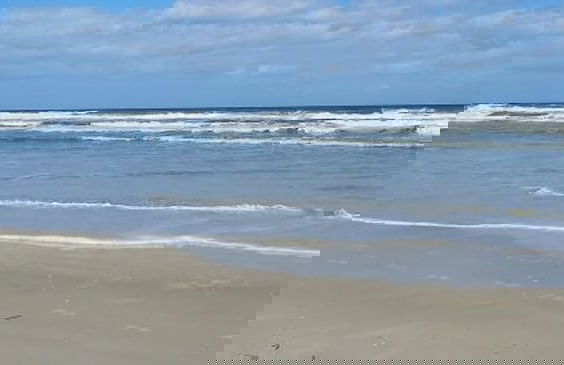 Beach View Oceanfront Condo in Ponce Inlet FL - Foto 22