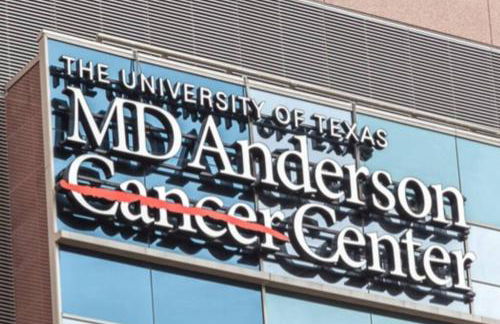 Newly Furnished 1BR Apartment w/ Hermann Park View - Foto 24