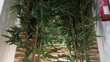 Casa Luna - Foto 5, Lobby or reception