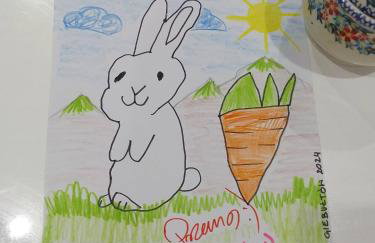 Agroturystyka Polana Giebułtów obok Świeradowa i zamku Czocha, domki przyjazne rodzinom z dziećmi - Photo 12