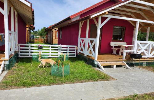 Domki Letniskowe U Żuni - Foto 13