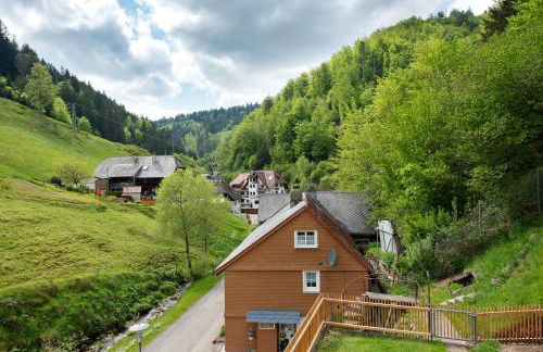 Ferienwohnung Glashütte - Foto 27