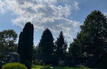 Agroturystyka nad stawami - Foto 26