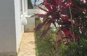 Paraíso no Ninho - Foto 9