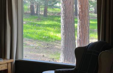 Cozy Cabin on the Creek - Foto 5