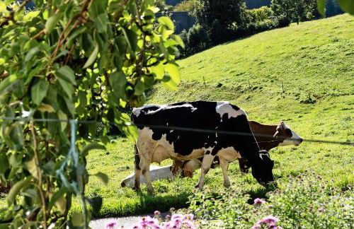 Willmannshof - Foto 76