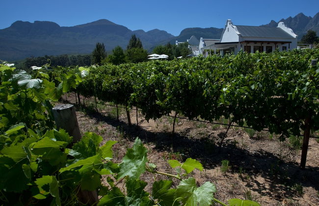 Dunstone Country House - Foto 46