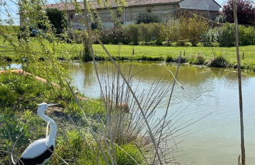 Gîte Casafamilia - Nature et sérénité - Foto 18