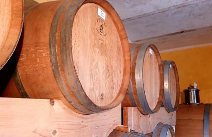 Ciabot delle Aie - Barolo - Foto 47