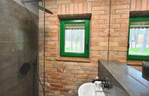 Raj na Kaszubach - Pałubicka Bór - Domy na Wynajem - Foto 38