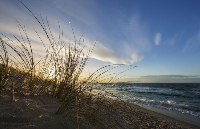 Ferienwohnungen Dünenmeer - Foto 68