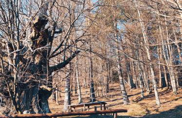 Agriturismo il fosso - Foto 10