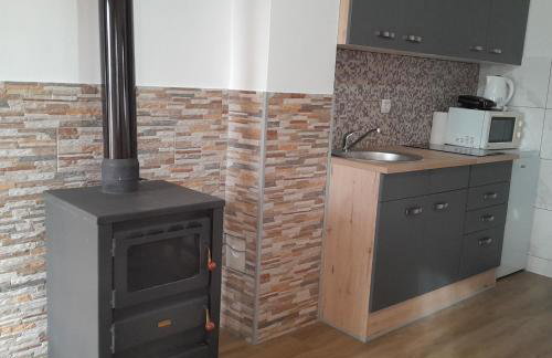 Apartman 1 RIBIČ - Foto 8