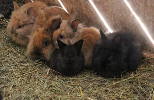 Gattererhof - Foto 34