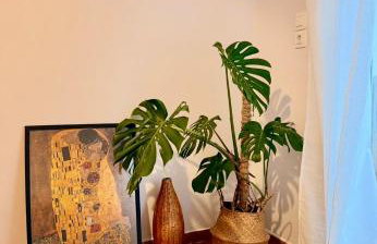 The cozy corner - Foto 26