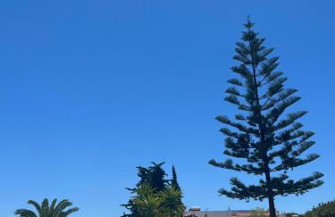 Casa Oliveira - Algarve - Foto 26