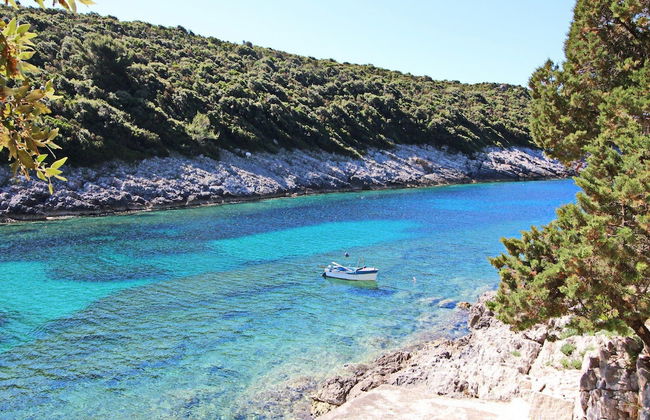 Oasis of Paradise - Photo 11