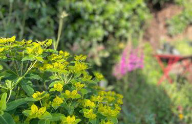 Two charming flats near Notting Hill - Foto 3