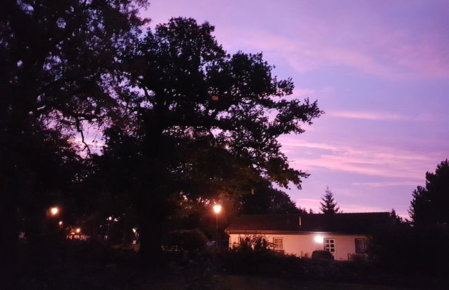 Ostsee-Landhaus - Foto 62