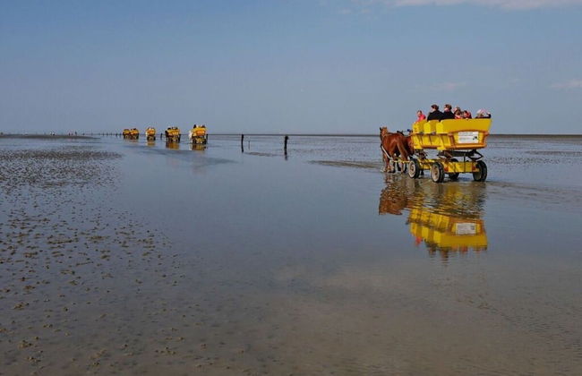 Holiday Oasis Minten - Foto 18