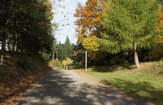 Studio entre forêt et vignoble ! - Foto 18