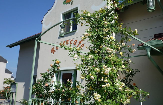 Rosenhotel - Apartments - Foto 31