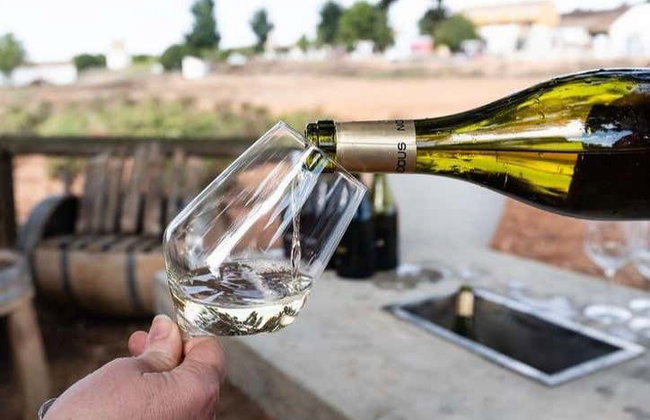 Bodegas Nodus Tour - Photo 8