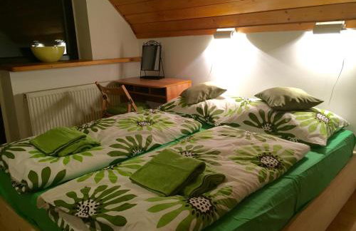 Willa Brzozówka - Photo 22