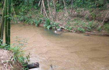 Chácara Buscapé - Sana-RJ - Pacote 6mil Reais - Photo 28