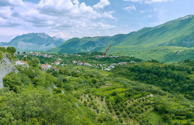 House Cattleya - Photo 27