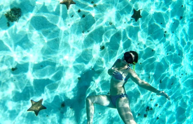 Snorkelling in a Turtle Sanctuary - Photo 6