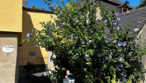 Ferienhaus Ausonius - Foto 2