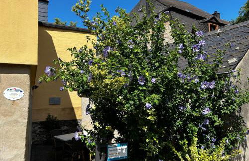 Ferienhaus Ausonius - Foto 2