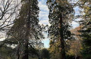 The Acorn Hideaway - Photo 10