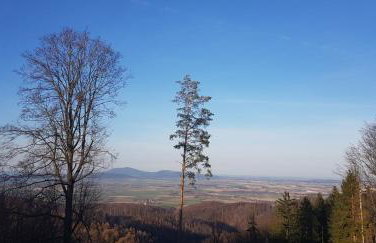 Domek na wzgórzu - Foto 32