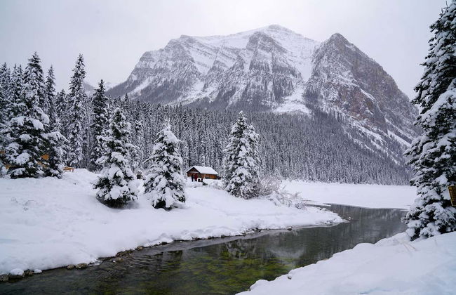 Excursión al Lago Louise - Foto 7