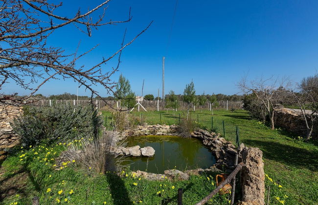 3770 Casetta Maddalena by Barbarhouse - Photo 14