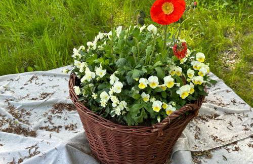 Aminas Ferienwohnung Bad Gandersheim 30/2 - Foto 23